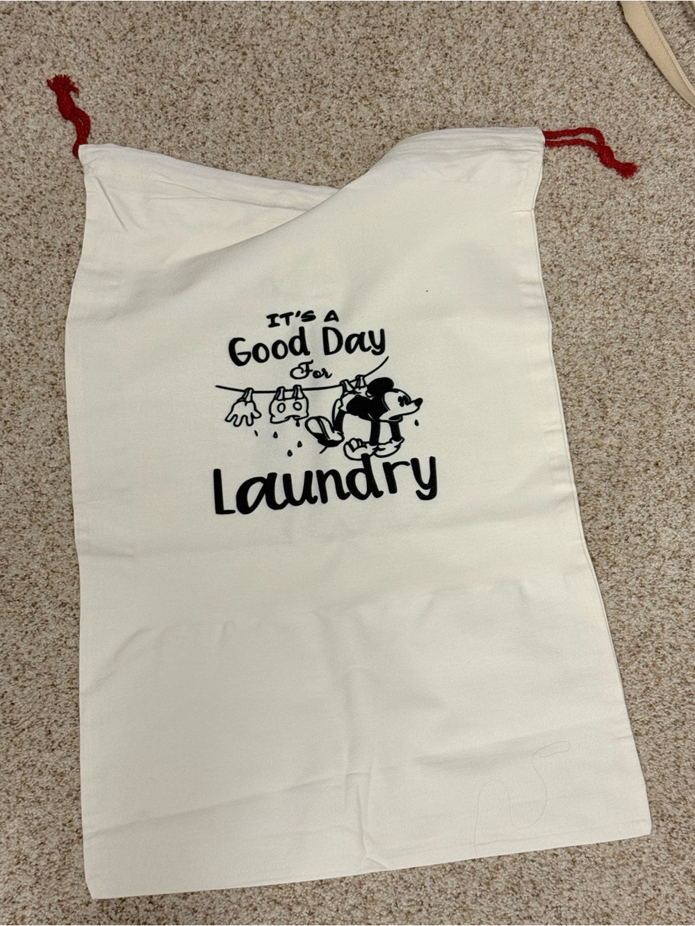 Handmade Disney Canvas Laundry Bag